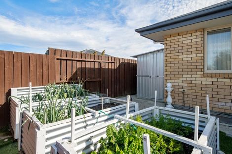 Photo of property in 38a Redwood Street, Blenheim, 7201