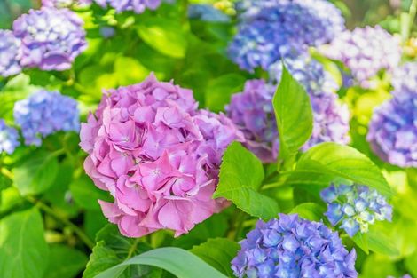 Photo of property in 56 Whitemans Road, Silverstream, Upper Hutt, 5019