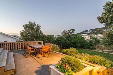 Photo of property in 233 Rintoul Street, Berhampore, Wellington, 6023