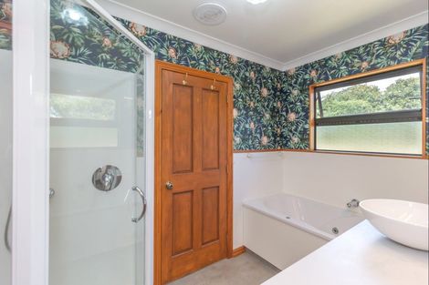 Photo of property in 153 Buller Road, Levin, 5571