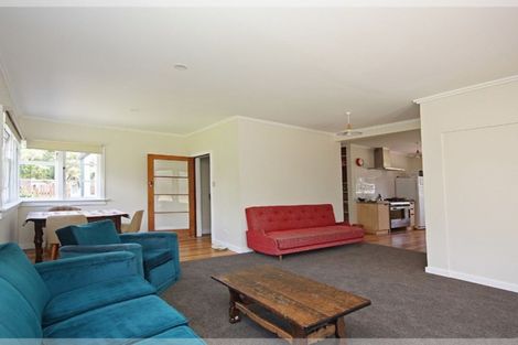 Photo of property in 42 Mckenzie Street, Levin, 5510