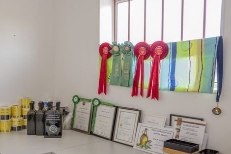 Photo of property in 22 Lethbridge Street, Feilding, 4702