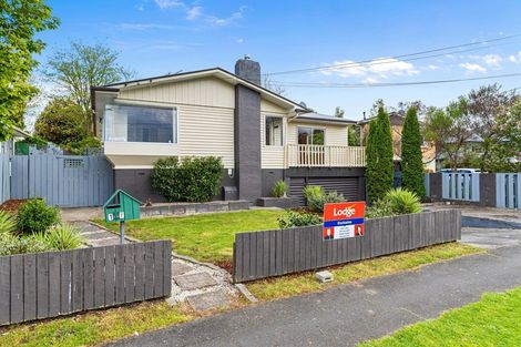 Photo of property in 17 Morris Road, Hillcrest, Hamilton, 3216