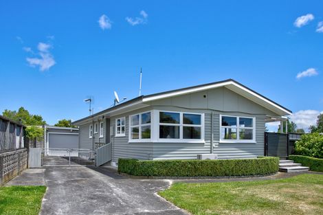 Photo of property in 29 Daniell Street, Solway, Masterton, 5810