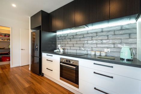 Photo of property in 45 Mcgrath Drive, Lincoln, 7608