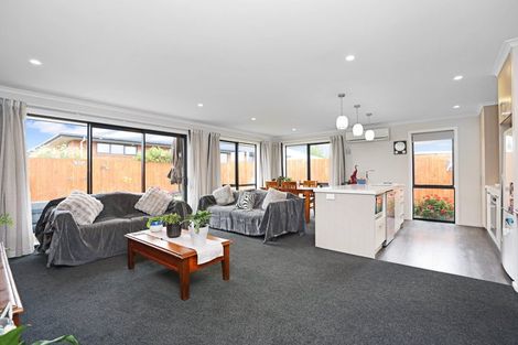 Photo of property in 71b Cambridge Street, Hampstead, Ashburton, 7700