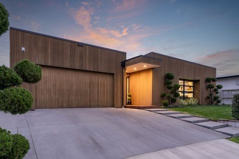 Photo of property in 31 Meadowfield Street, Flagstaff, Hamilton, 3210