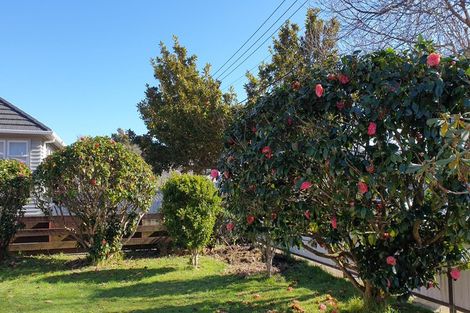 Photo of property in 1/50 Dyer Street, Epuni, Lower Hutt, 5011