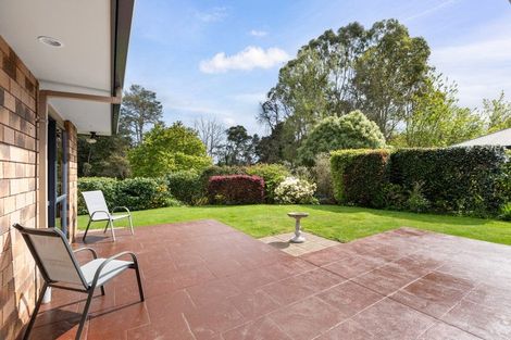 Photo of property in 24 Sequoia Place, Morrinsville, 3300