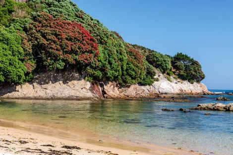 Photo of property in 67 Otaipango Road, Houhora, Kaitaia, 0484