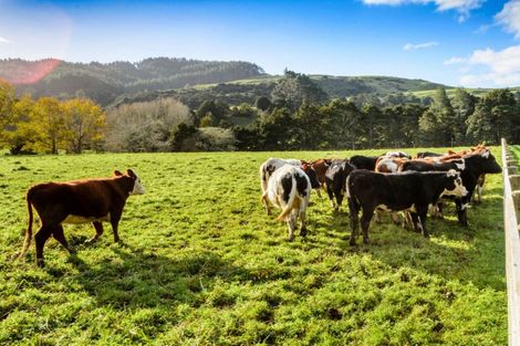 Photo of property in 1149a Whangaripo Valley Road, Whangaripo, Wellsford, 0972