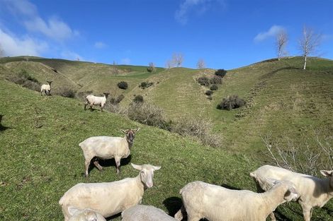 Photo of property in 346 Tauraroa Valley Road, Maihiihi, Otorohanga, 3975