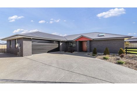 Photo of property in 26 Foster Place, Amberley, 7410