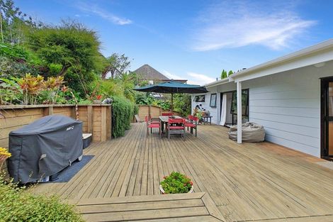 Photo of property in 231 Tukere Drive, Whangamata, 3620
