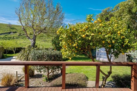 Photo of property in 55 Kekerengu Road, Kekerengu, Kaikoura, 7274