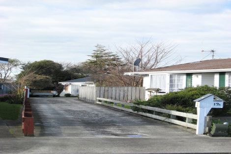 Photo of property in 19a Burn Street, Levin, 5510