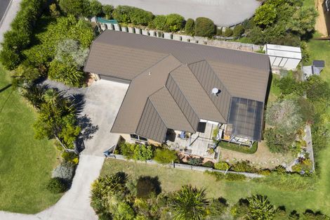 Photo of property in 19 Violet Street, Raglan, 3225