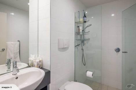 Photo of property in Sanctum Apartment, 10 Ebor Street, Te Aro, Wellington, 6011