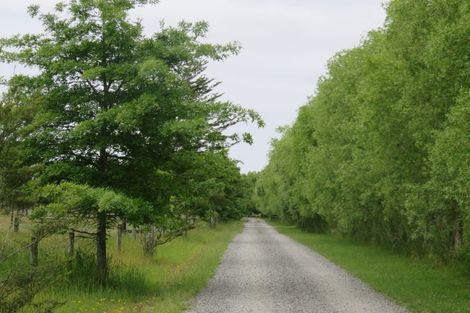 Photo of property in 1521 Tram Road, Swannanoa, Rangiora, 7475