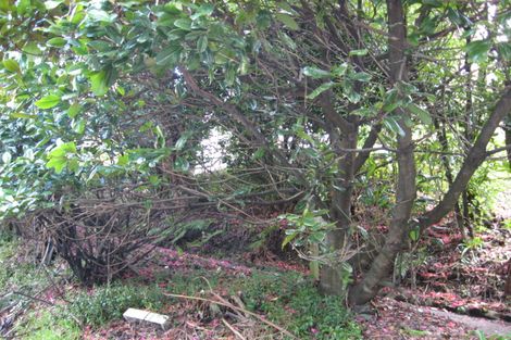 Photo of property in 201 Glenmore Street, Kelburn, Wellington, 6012