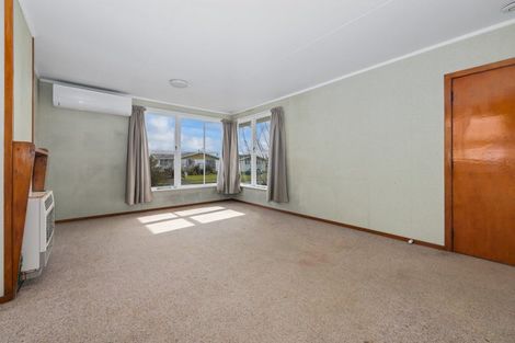 Photo of property in 47 Hinemoa Street, Levin, 5510