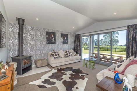 Photo of property in 441 Tararua Road, Levin, 5571