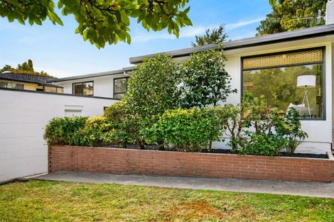 Photo of property in 41 Muritai Crescent, Havelock North, 4130