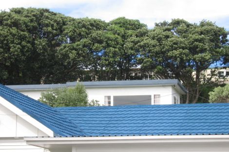 Photo of property in 19 Liffey Street, Island Bay, Wellington, 6023