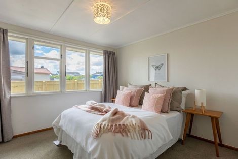 Photo of property in 38 Mclean Terrace, Waipukurau, 4200