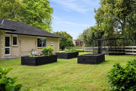 Photo of property in 29 Sheffield Street, Matamata, 3400