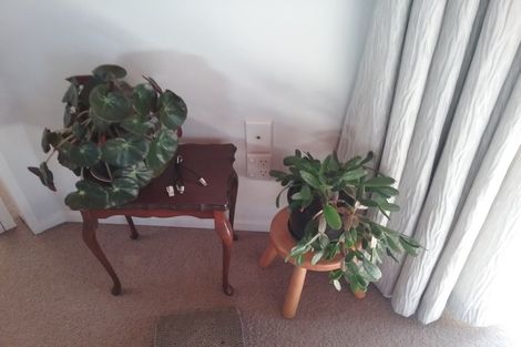 Photo of property in 48 Stanley Drive, Lynmore, Rotorua, 3010