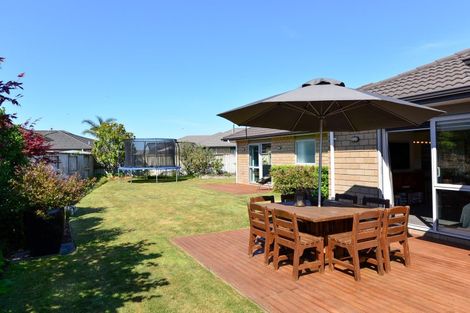 Photo of property in 20 Whitney Place, Rototuna North, Hamilton, 3210