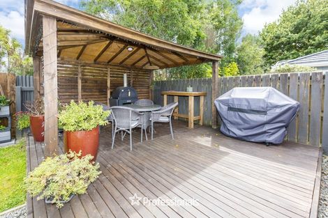 Photo of property in 36a Seddon Street, Wallaceville, Upper Hutt, 5018