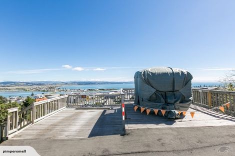 Photo of property in 30 Hospital Terrace, Hospital Hill, Napier, 4110