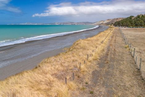 Photo of property in 377 Cable Station Road, Blind River, Seddon, 7285