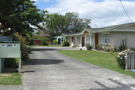 Photo of property in 23a Hobson Street, Feilding, 4702