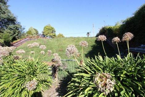 Photo of property in 46 Tui Street, Pahiatua, 4910