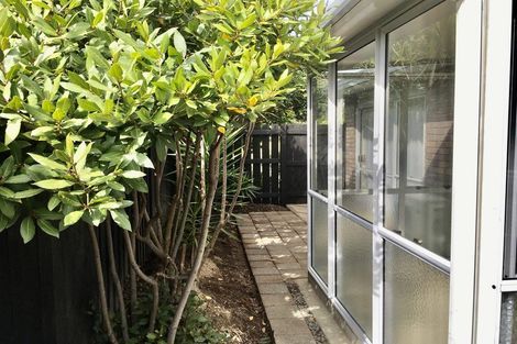 Photo of property in 11b Hibiscus Avenue, Mount Maunganui, 3116