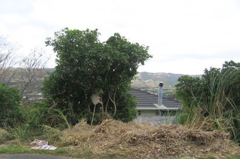 Photo of property in 13 Chester Road, Tawa, Wellington, 5028