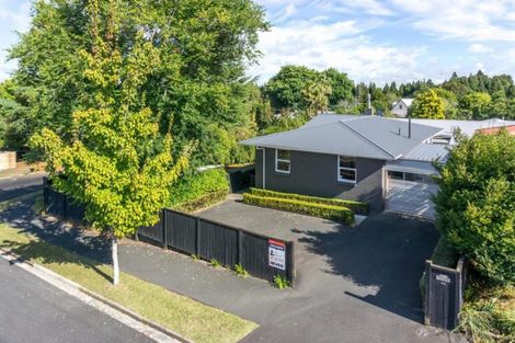 Photo of property in 100 Storey Avenue, Forest Lake, Hamilton, 3200