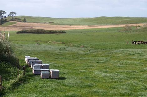 Photo of property in 343 Kaihau Road, Karioitahi, Waiuku, 2683