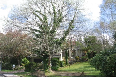 Photo of property in 41 Lewis Road, Lynmore, Rotorua, 3010