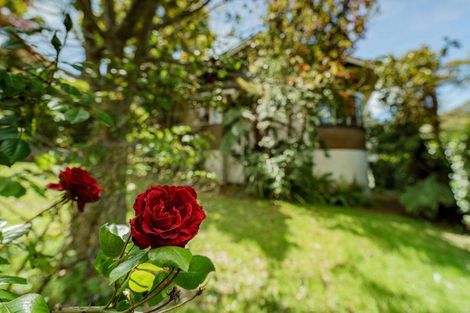 Photo of property in 41 Leven Street, Roslyn, Dunedin, 9010