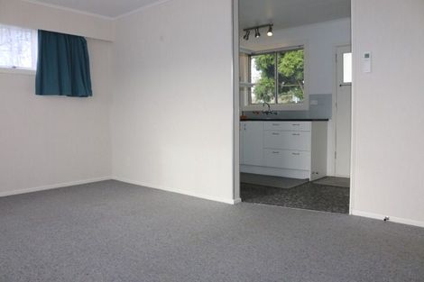 Photo of property in 172a Ruahine Street, Roslyn, Palmerston North, 4414