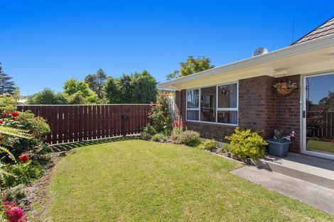 Photo of property in 65a Bridge Street, Whakatane, 3120
