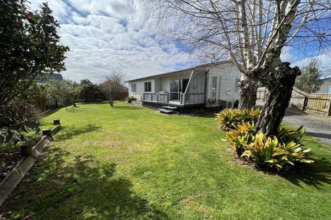 Photo of property in 41 Green Avenue, Levin, 5510