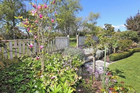 Photo of property in 58 Palmbrook Avenue, Havelock North, 4130