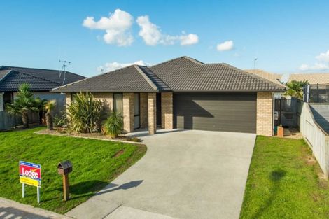 Photo of property in 30 Te Manatu Drive, Huntington, Hamilton, 3210