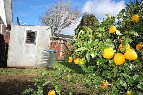 Photo of property in 7/91 Panama Road, Mount Wellington, Auckland, 1062