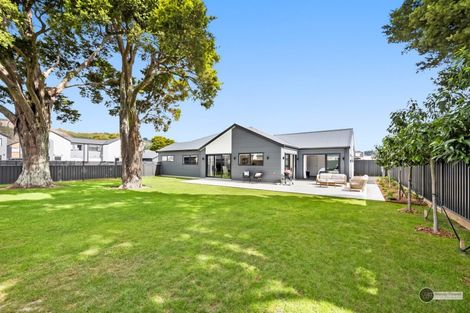 Photo of property in 24 Castletown Street, Wallaceville, Upper Hutt, 5018